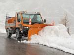 Aebi VT450 2009 года